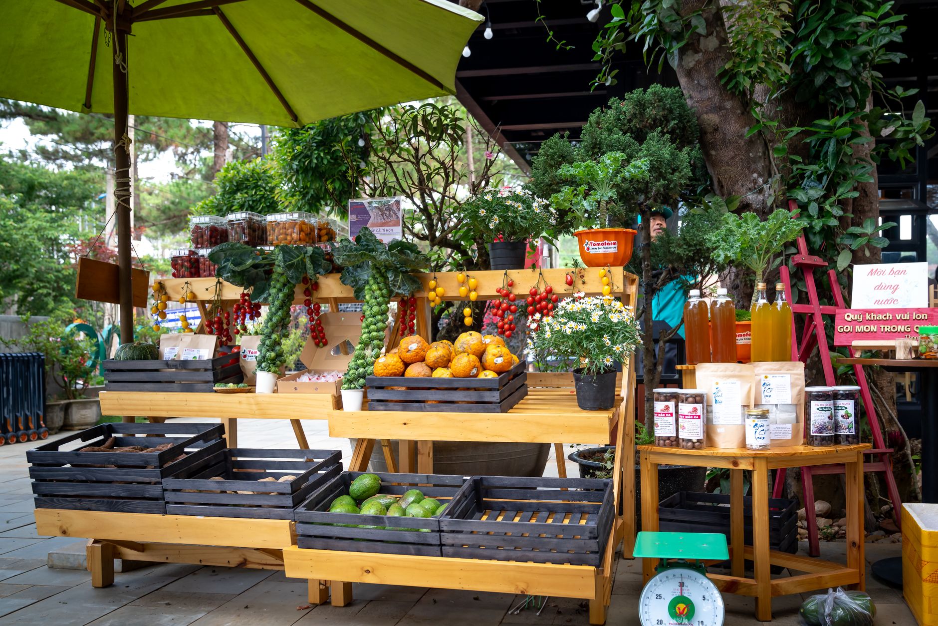Crates of fresh vegetables and fruit on a market stall
