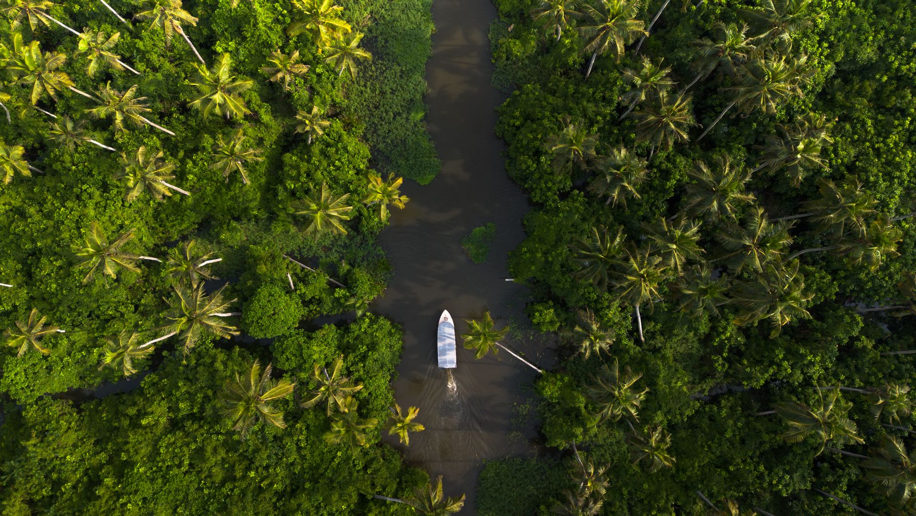 Aerial view of a small boat on a palm-lined backwater channel